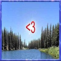 zxcvb121